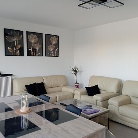 Appartement Le Belle Vue à Saint-Etienne  Extérieur photo