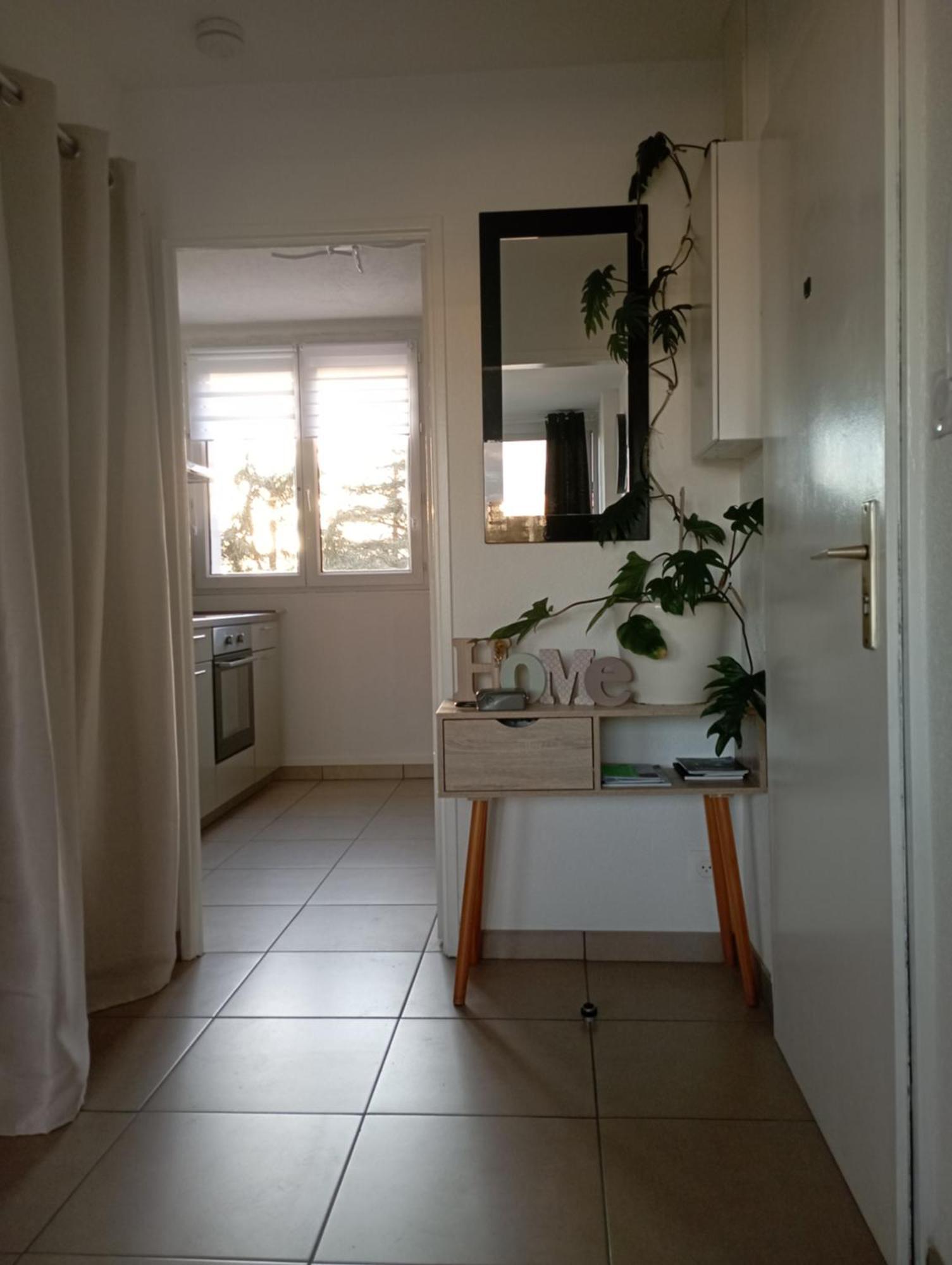 Appartement Le Belle Vue à Saint-Etienne  Extérieur photo